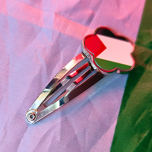 Palestine Hair Clip