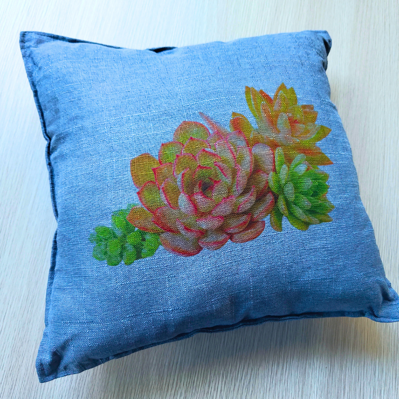 Blue square statement cushion with succulents print.
