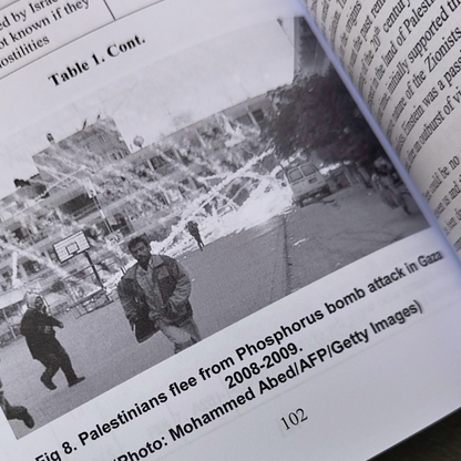 Christian response to the Israel Palestine conflict book.