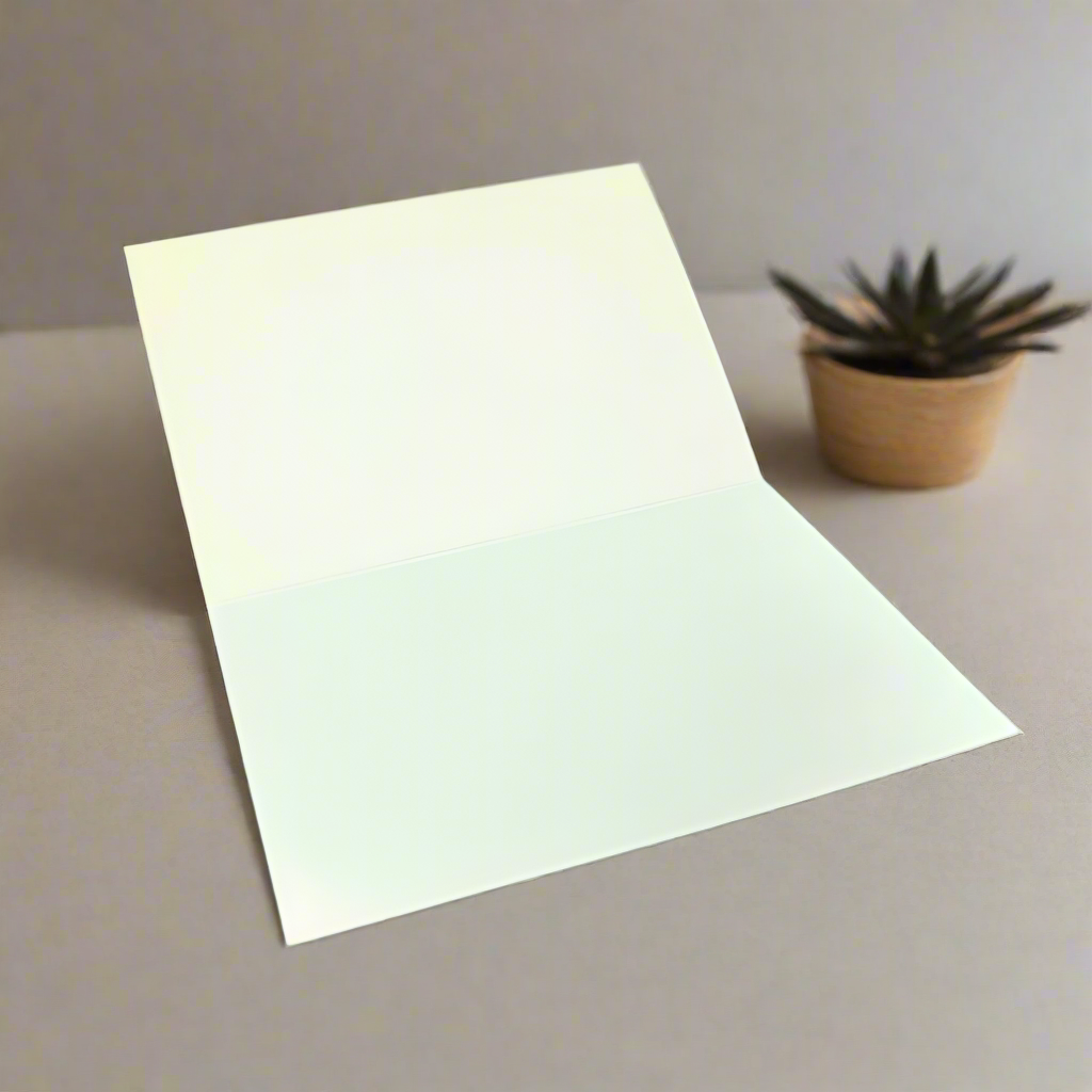 Little Mud and The Murray Princess blank greeting cards. Assorted designs.